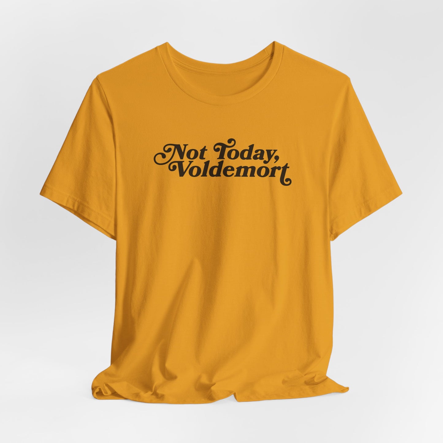 Not Today, Voldemort T-Shirt — Funny Wizard Quote Tee for Fans & Gifts