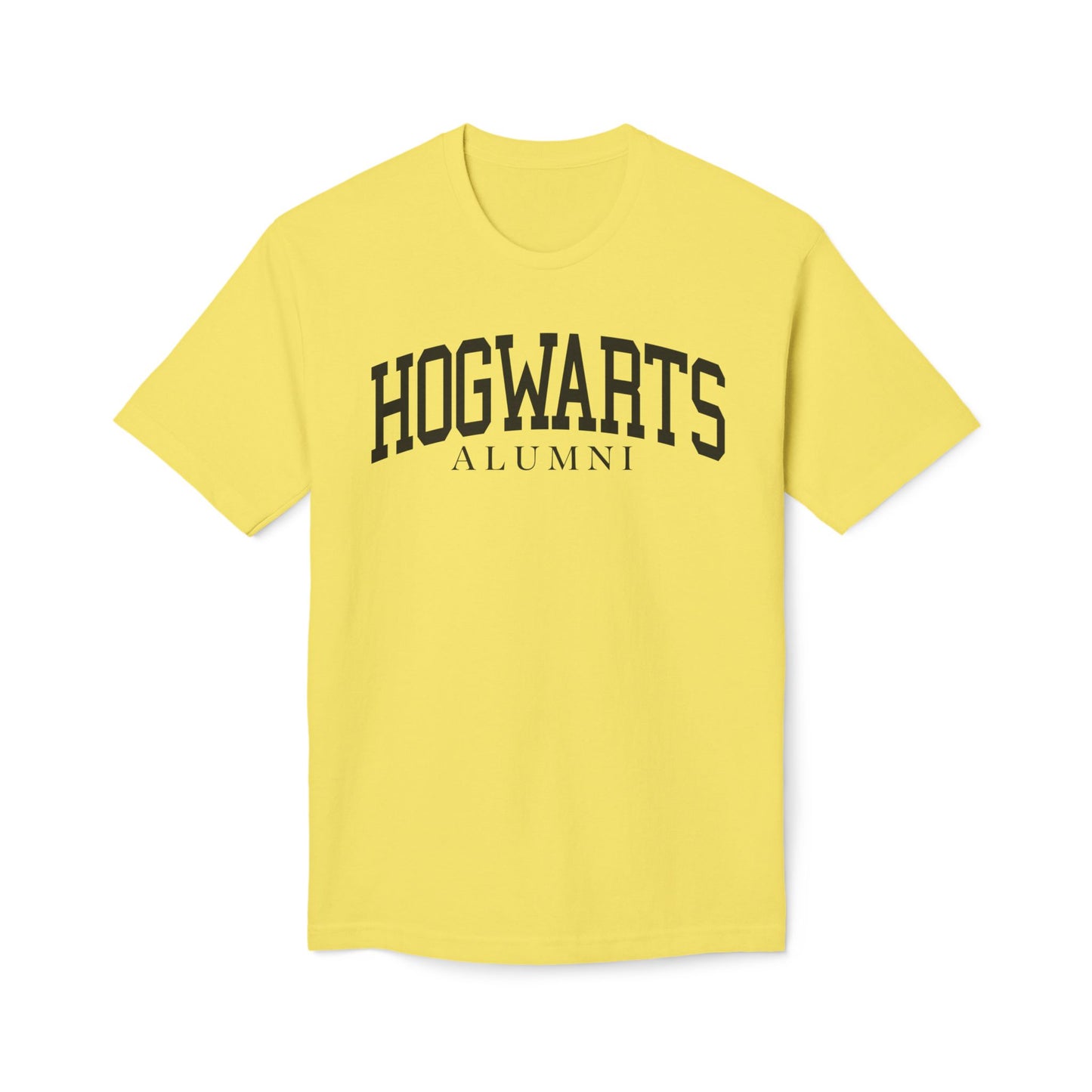 Wizarding School Alumni T-Shirt